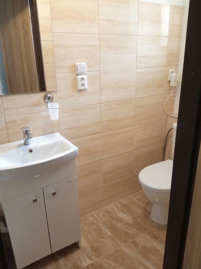 Apartment Pod Hradem Loket Exterior photo